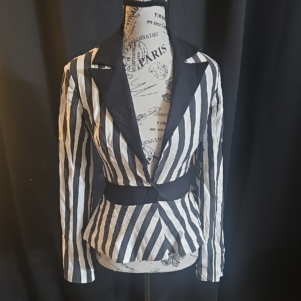Unique Vintage Black and White Striped Blazer